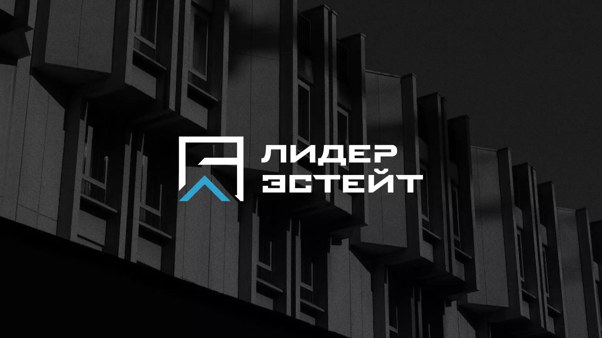 Разработка логотипа агентства недвижимости «Лидер Эстейт» в Людиново